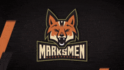 Marksmenhockey GIF by Fayetteville Marksmen