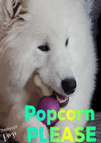 Trouble Please GIF