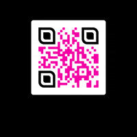 miamisymphony miami orchestra symphony miso GIF