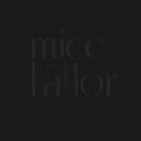 MiceTailor turkey meeting dmc antalya GIF