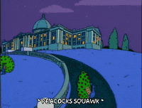 shocked homer simpson GIF