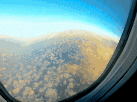 kevenreynolds giphygifmaker GIF