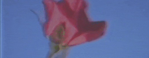 blossoming what if GIF by Mackenzie Ziegler