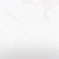 Hockey Eisbaeren GIF by Eisbären Berlin