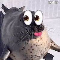 Instagram Looking GIF