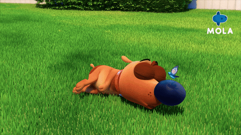 Happy Pat The Dog GIF by Mola TV Kids