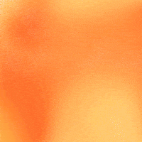 Stay Safe I Love You GIF by Jessica Lau