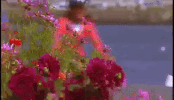 new hampshire GIF