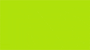GIF by Expo Revestir