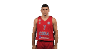 Basketball Celebration Sticker by CSKA Moscow