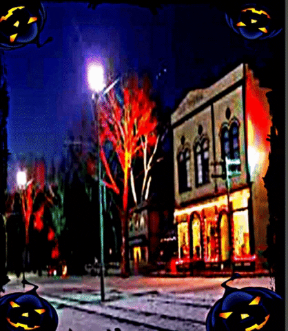 ladyceceloves giphygifmaker giphyattribution GIF