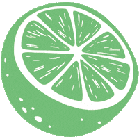 Aloe Vera Orange Sticker by Elfy Naturals
