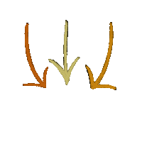 Arrow Sticker