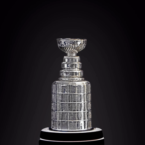 Stanley Cup Winner 2024 - The Florida Panthers