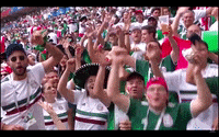 copa del mundo mexico GIF by MiSelecciónMX