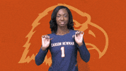 C-N Volleyball GIF by Carson-Newman Athletics