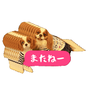 Cavalierkingcharlesspaniel Sticker