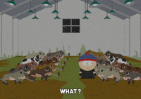 stan marsh GIF by South Park 