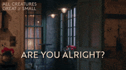 Are You Okay GIF by All Creatures Great And Small