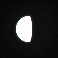 black and white gif artist GIF by Erica Anderson