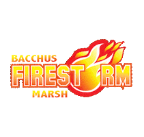 Firestorm Sticker by F45 Training Bacchus Marsh