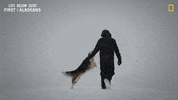 Happy Nat Geo GIF by National Geographic Channel