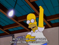 homer simpson episode 20 GIF