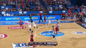 GIF by NBL