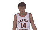 Cnmb Sticker by Carson-Newman Athletics