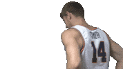 Cnmb Sticker by Carson-Newman Athletics