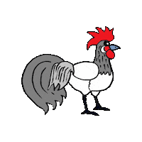 Chickens Sticker