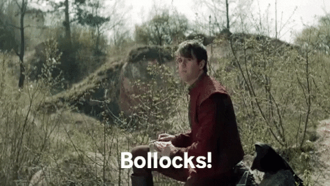 SoMello giphygifmaker witcher bollocks jaskier GIF