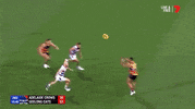 adelaidecrows 2019 afl adelaide crows round 3 GIF