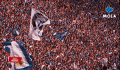 Football Reaction GIF by MolaTV