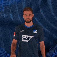 Sport Bundesliga GIF by TSG Hoffenheim