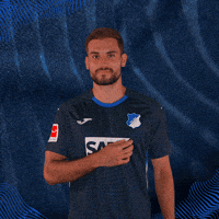 Sport Logo GIF by TSG Hoffenheim