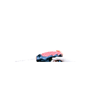Summer Aiming Sticker by ArmoGear