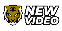 Seoul Dynasty Overwatch Sticker by Gen.G