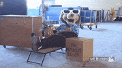 twins GIF by MLB