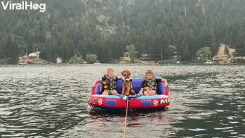 Boat Life Loving Pup