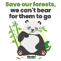 Singapore Zoo Bear Sticker by Mandai Wildlife Reserve