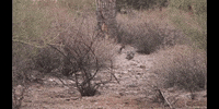 Earth Science Education GIF by DIIMSA Stock