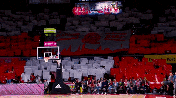 Fans Choreo GIF by FC Bayern Basketball