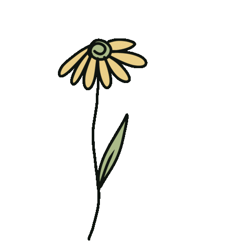 thalitaandrad33z giphyupload flower flor brilho Sticker