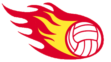southcoastblaze blaze netball fastball southcoastblaze Sticker