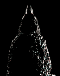 Animation Motion GIF by alperdurmaz