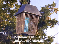 action league nicksplat GIF