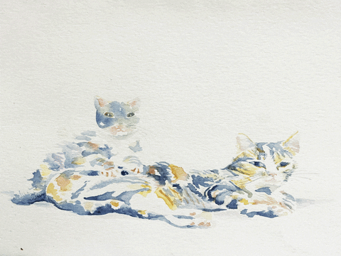 artofmadeleine giphyupload cats watercolor watercolour GIF
