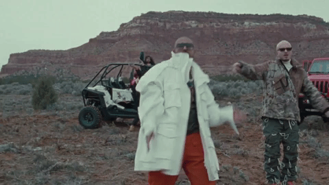 GIF by Sean Paul