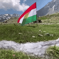 Flag Al GIF